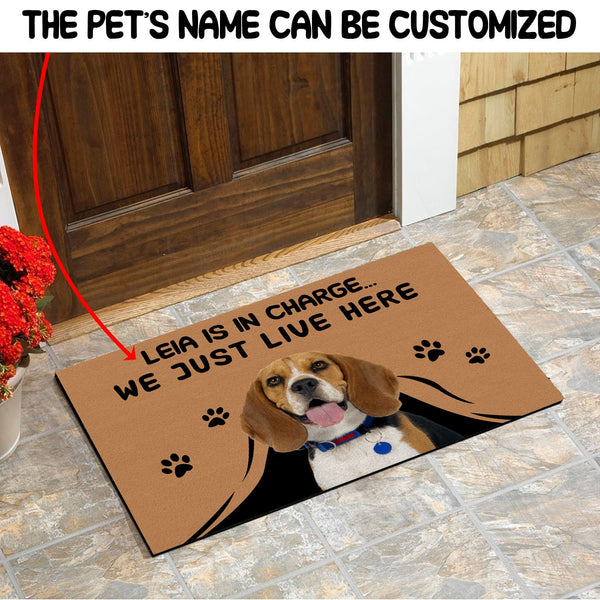 Beagle Dog Custom dog's Name and Photo Doormat Pet is in Charge We Just Live Here Funny Door Mat Personalized gift FSD1558