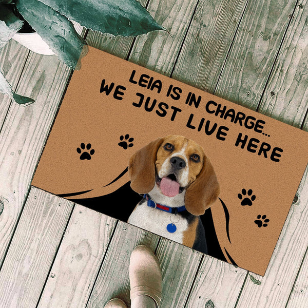 Beagle Dog Custom dog's Name and Photo Doormat Pet is in Charge We Just Live Here Funny Door Mat Personalized gift FSD1558