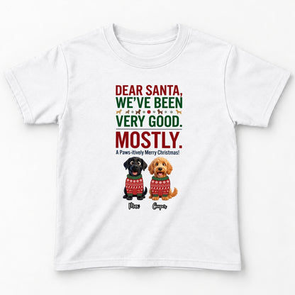 Dear Santa We've Been Very Good Mostly Funny Custom Dogs Christmas Youth T-Shirt FSDM104