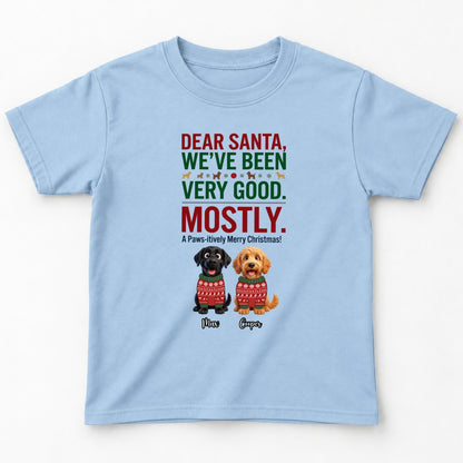 Dear Santa We've Been Very Good Mostly Funny Custom Dogs Christmas Youth T-Shirt FSDM104