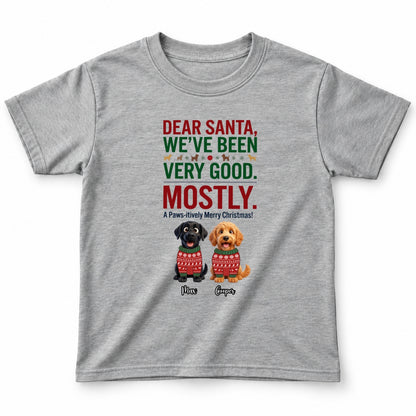 Dear Santa We've Been Very Good Mostly Funny Custom Dogs Christmas Youth T-Shirt FSDM104
