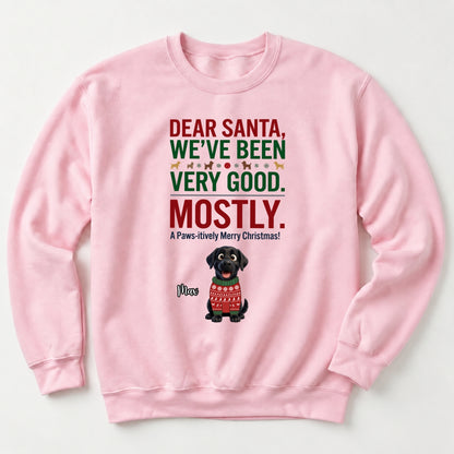 Dear Santa We've Been Very Good Mostly Funny Custom Dogs Christmas Standard Crew Neck Sweatshirt FSDM121