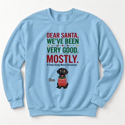 Dear Santa We've Been Very Good Mostly Funny Custom Dogs Christmas Standard Crew Neck Sweatshirt FSDM121