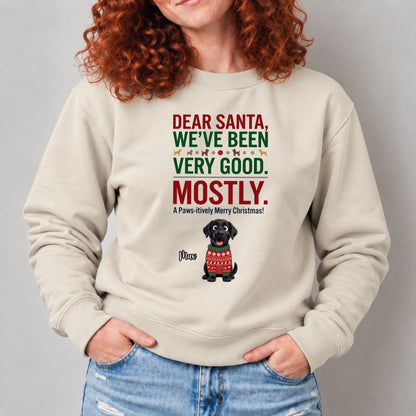 Dear Santa We've Been Very Good Mostly Funny Custom Dogs Christmas Standard Crew Neck Sweatshirt FSDM121