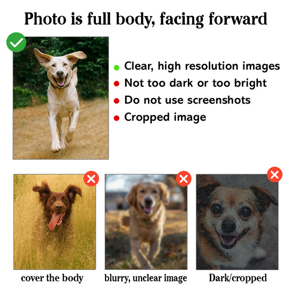 Personalized Duck Hunting Shirt – Custom Dog's Photo and Name for Hunters NHT258