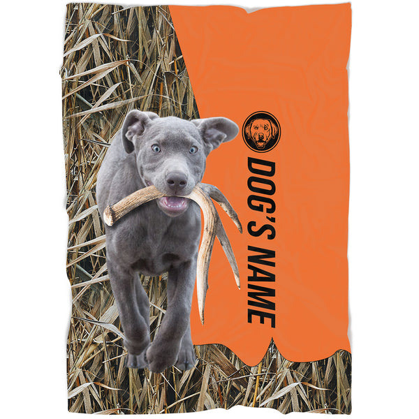 Silver Labrador Retriever Hunting Dog Custom Name Blanket, Gifts for Hunter FSD4630