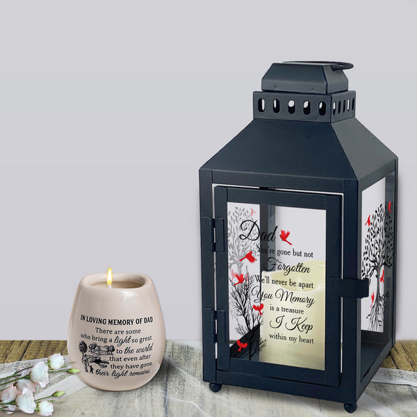 Dad Memorial Lantern, Cardinal Lantern Dad Memorial Gifts for Loss of Father Lantern Led Candle STNN3