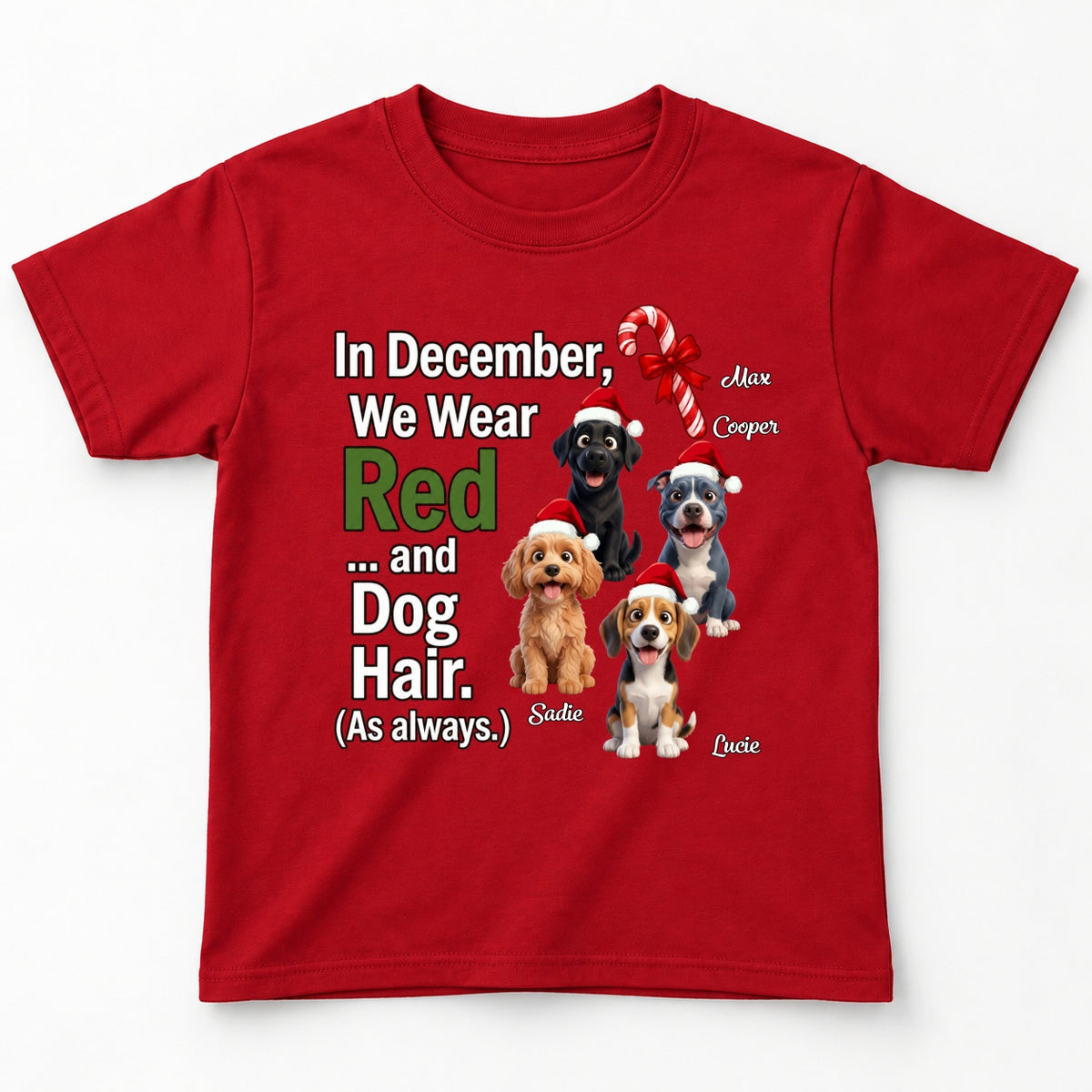 In December We Wear Red And Dog Hair Funny Personalized Dogs Christmas Youth T-Shirt FSDM96