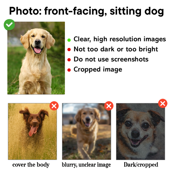 Custom Lying Dog Photo Tie-Dye Hoodie for Dog Lovers FSD4775