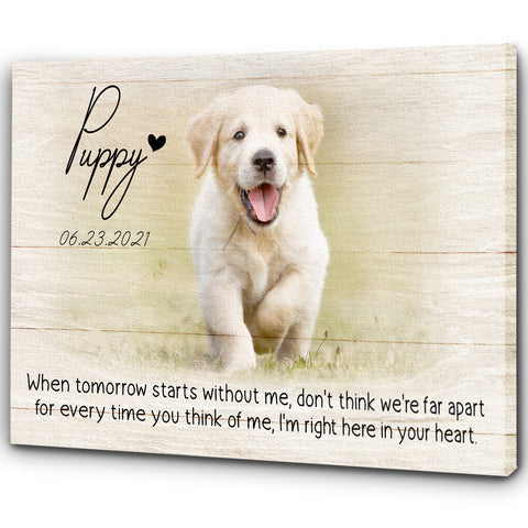 Personalized Canvas| Pet Loss Memorial| When Tomorrow Starts Without Me| Pet Remembrance, Loss of Dog, Loss of Cat Sympathy Gift for Pet Owners, Paw Friend| N1921 Myfihu