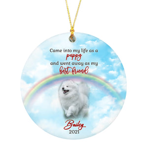 Pet Memorial Ornament - Went away As My Best Friend, Pet Loss Ornament, Remembrance Loss of Dog, Loss of Cat, Sympathy Gift for Dog Owners| NOM123