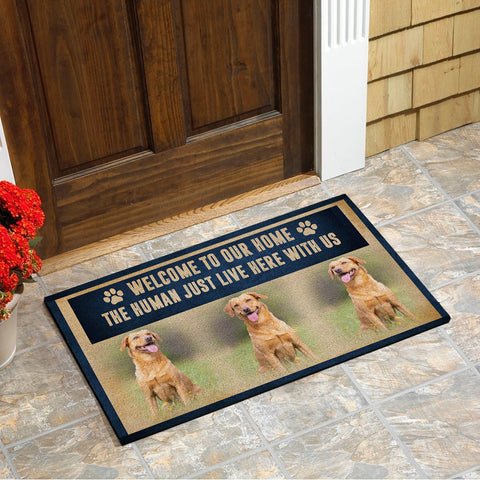 Personalized Dog Doormat| Welcome To Our Home - Custom Dog Doormat, Funny Dog Welcome Doormat, Dog Lover Gift, Dog Theme Decoration Indoor Outdoor| JDM55