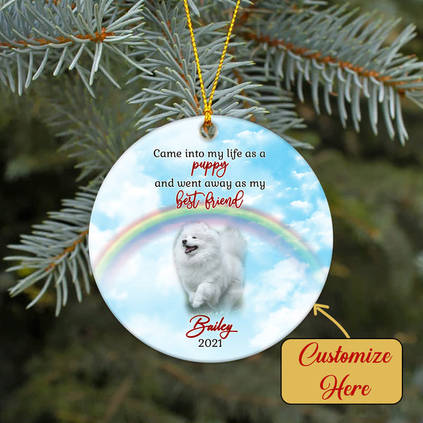 Pet Memorial Ornament - Went away As My Best Friend, Pet Loss Ornament, Remembrance Loss of Dog, Loss of Cat, Sympathy Gift for Dog Owners| NOM123