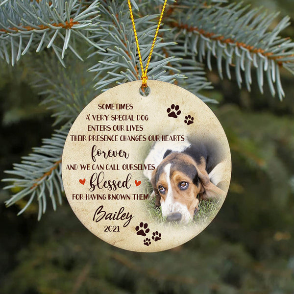 Dog Memorial Ornament - Special Dog Enters Our Lives, Dog Loss Ornament, Remembrance Loss of Dog, Sympathy Gift for Dog Owners| NOM122