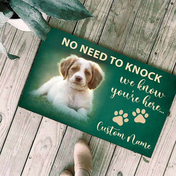 Personalized Dog Doormat - No Need To Knock Doormat - Funny Dog Welcome Doormat Dog Lover Gift Front Door Decor Dog Mat - JD42