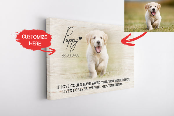 Personalized Canvas| Pet Loss Memorial| If Love Could Have Saved You| Pet Remembrance, Loss of Dog, Loss of Cat Sympathy Gift for Pet Owners, Paw Friend| N1922 Myfihu