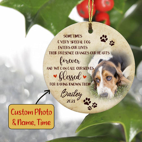 Dog Memorial Ornament - Special Dog Enters Our Lives, Dog Loss Ornament, Remembrance Loss of Dog, Sympathy Gift for Dog Owners| NOM122
